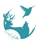 Lionel Andre - @lioneltherapies - Instagram