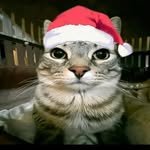 Poet - @lionelandres7178 - Instagram