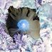 Lionel Balcom - Facebook