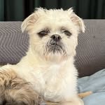 Lionel Rupert McClelland - @lionel.bean - Instagram