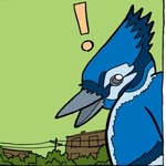 Lionel Bear Bird - @lionbearbird - Instagram
