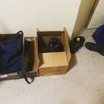 Lionel_the_cat_ - @lionel__black_cat_in_the_box - Instagram