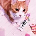 Lionel connan - @connanlionel - Instagram
