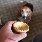 Lionel Connor - @lionel_connor - Instagram