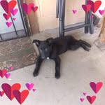 Lionel Fields - @lionel.fields.5 - Instagram
