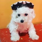 Lionelmarquez@10 - @lionelmarquez10 - Instagram