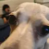Lionel Martel - @lionel.martel2 - TikTok