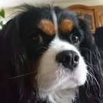 Lionel Mathieu - @lionel.mathieu45 - Instagram