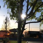 Lionel Morris - @lionelmorris318 - Instagram