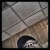 lionellmurray - @lionellmurray - TikTok