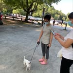 Liping Liu - @liping.liu.7545 - Instagram