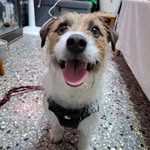 liping liu - @lipingliu654 - Instagram