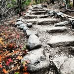 Liping Liu - @tee.life360 - Instagram