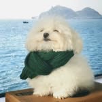 Liping Liu - @freya.liuuu - Instagram