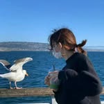 Liqunyang - @ylq1306909471 - Instagram