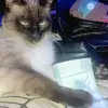 Mia Lira Jimenez - @mialirajimenez - TikTok