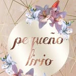 Lirio Sánchez - @sanchez_lirio - Instagram