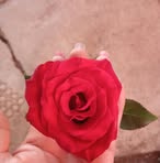 Lis Garcia - Facebook