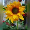liss martin - @liss.martin0 - TikTok