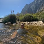 Lisa Meyer - @meyerlisa371 - Instagram