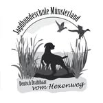 Lisa Meyer - @lisa_meyer_jagdhunde - Instagram