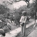 Lisa Abdullah - @lisa_abd_ahmad - Instagram