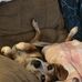 Lisa Addington - Facebook