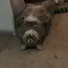 lisaaddington1 - @lisa.addington - TikTok