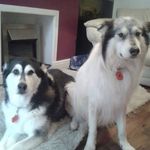 Lisa Addy - @lisaaddy50 - Instagram