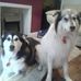Lisa Addy - Facebook