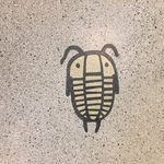 Lisa Adelman Kin - @lisaadelmankin - Instagram