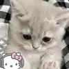 Lisa adrian - @lisaadrian01 - TikTok