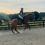 Lisa Agnew - @lisa_ag - Instagram