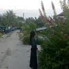 lisa lgeee - @lisa_lgeee - TikTok