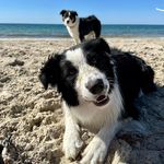 Lisa Allsopp - @starrlight71 - Instagram
