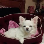 Lisa Almand - @tiner1999 - Instagram