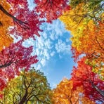 Lisa Ahmady - Facebook