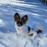 Lisa Amodeo - @amodeo2774 - Instagram