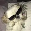 lisaando72 - @lisaando72 - TikTok