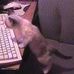Lisa Andreas - Facebook