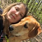 Lisa Appelbaum - @excerptfrom_lisaslife - Instagram