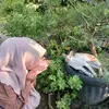 lisa - @lisaard - TikTok