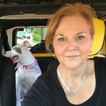 Lisa Armbruster Clontz - @schlep_23 - Instagram