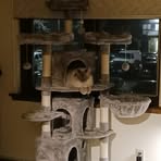 Lisa Arney Ludgood - Facebook