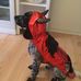 Lisa Arrowsmith - Facebook