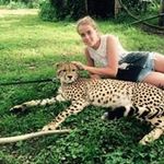Lisa Arrowsmith - @krazycroc - Instagram