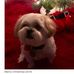 Lisa Ashe - Facebook