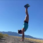Lisa Atherton Avery - @tsetsebug - Instagram
