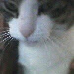 @lisaaubert2002hotmailcom - Instagram