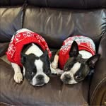 Lisa Augusta - @shark2312 - Instagram